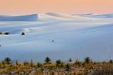 White Sands_32153